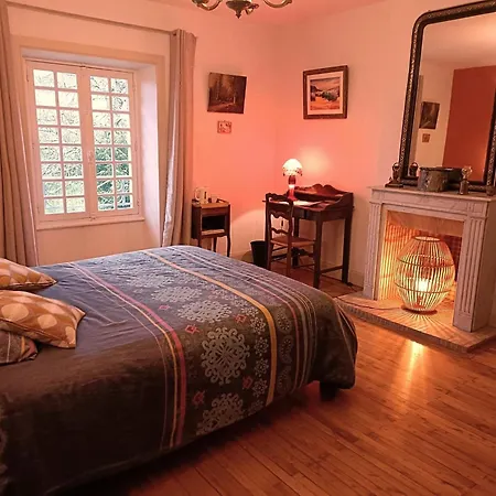 Pensionat Chateau Ol Puech Vic-sur-Cère